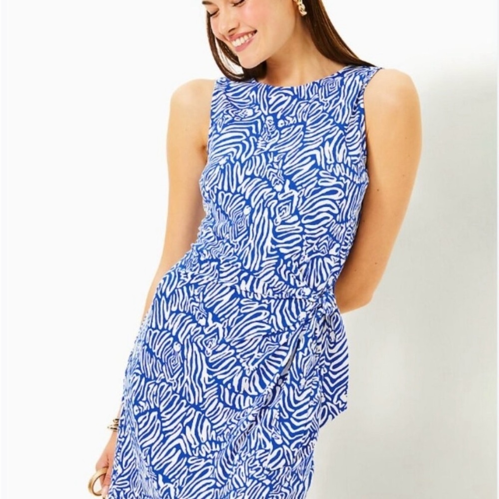 Lilly‎ Pulitzer Bryson Martinique Blue Zee Bebe Dress, Medium